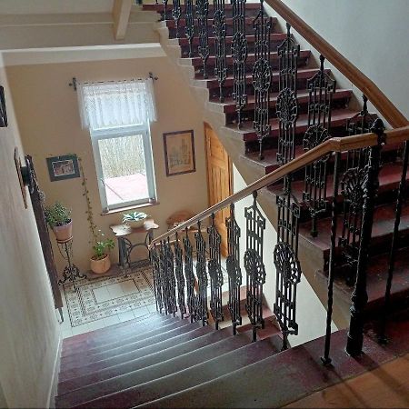 Villa Rosenberg Mariánské Lázně Dış mekan fotoğraf