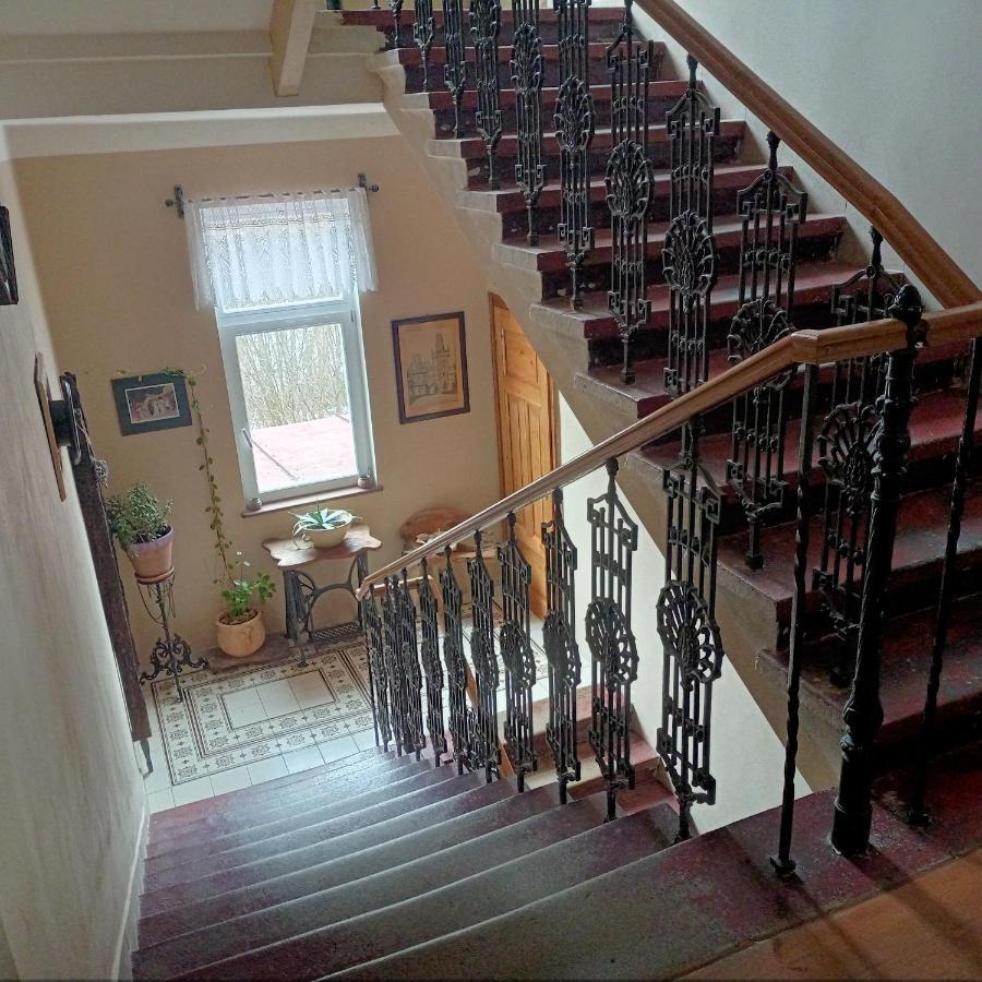 Villa Rosenberg Mariánské Lázně Dış mekan fotoğraf